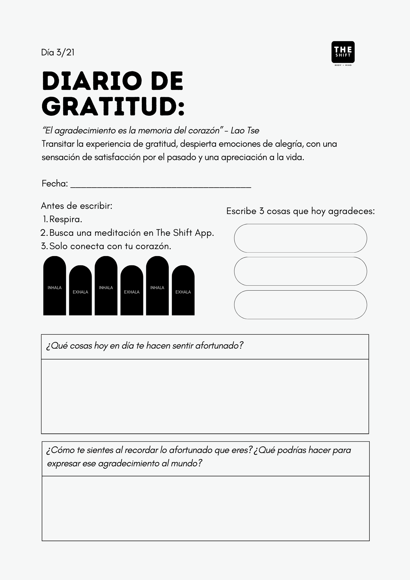 WORKBOOK: Reto de Journaling (21 Días para manifestar)